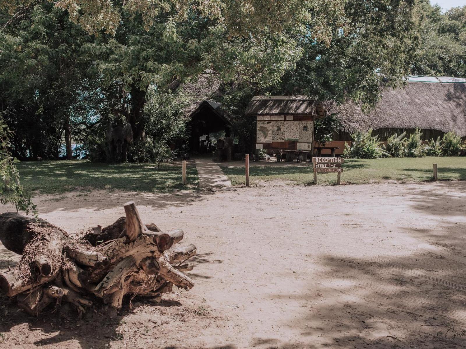 Ndhovu Safari Lodge Mahango Zewnętrze zdjęcie